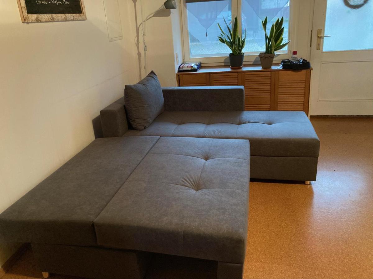 Ferienwohnung Marienhof Erdgeschoss Seelbach  المظهر الخارجي الصورة